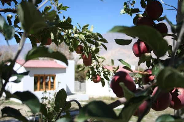 Hundar Himalayan Eco Resort מראה חיצוני תמונה
